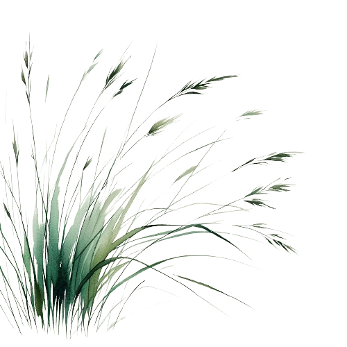 Grass